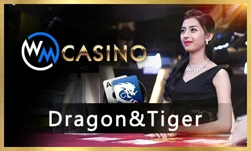 Exciting Casino Games at 777 Bet PH
